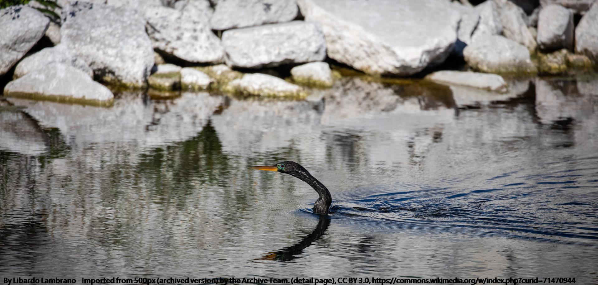 Lake Apopka North Shore (193037079)