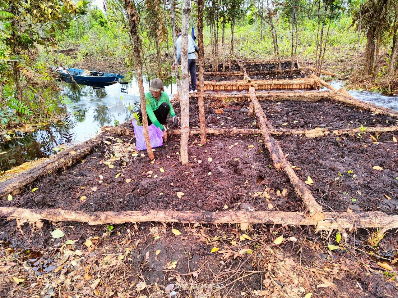 WhatsApp Image 2023-03-27 at 10.36.31