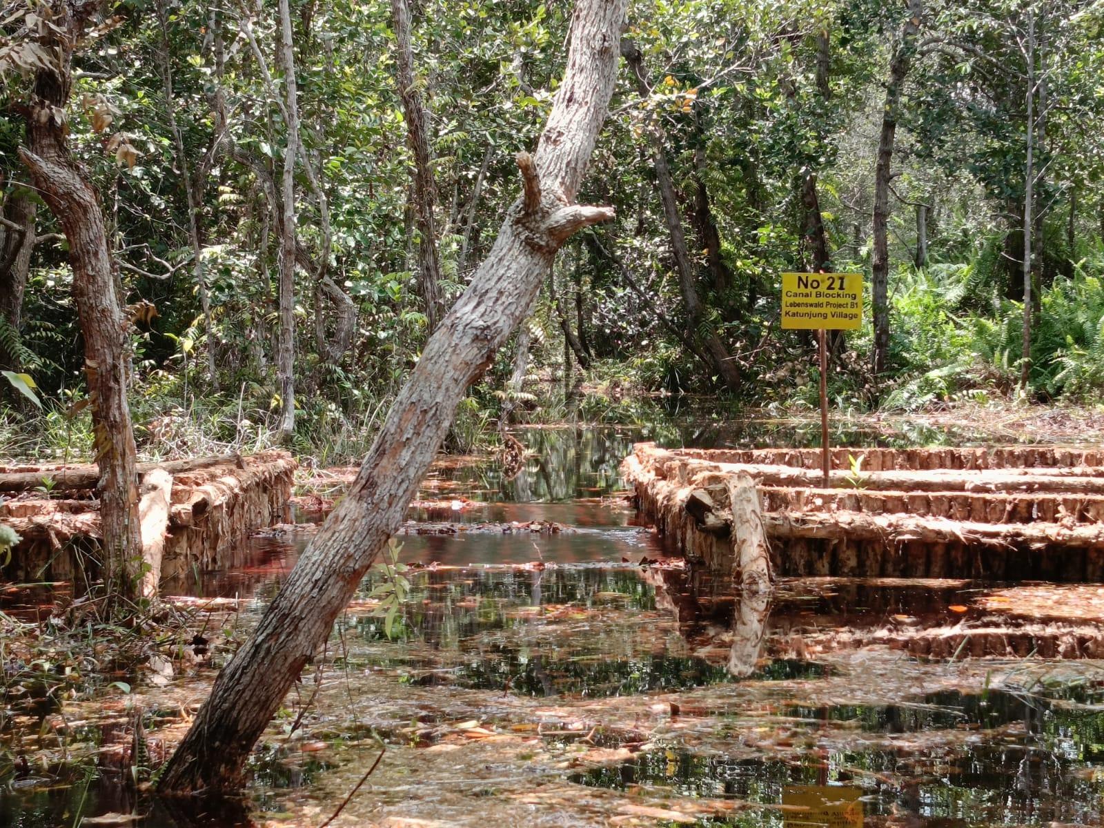 WhatsApp Image 2023-04-14 at 05.41.48 (1)