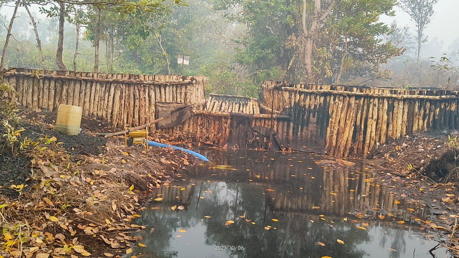 WhatsApp Image 2023-10-10 at 21.11.19