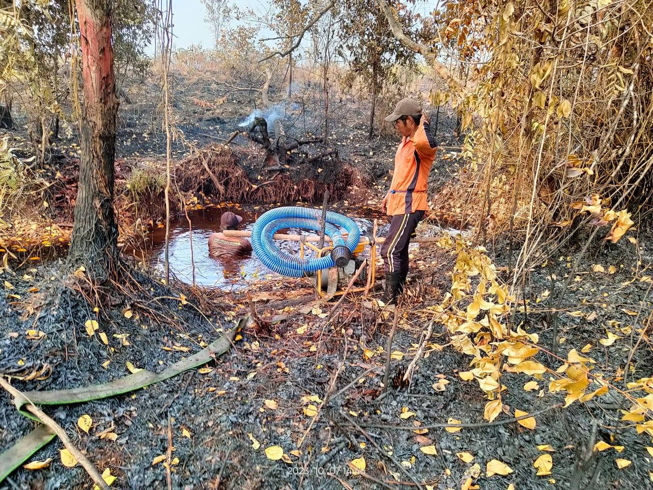 WhatsApp Image 2023-10-10 at 21.08.28